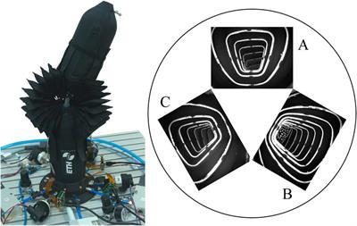A Vision-Based Sensing Approach for a Spherical Soft Robotic Arm